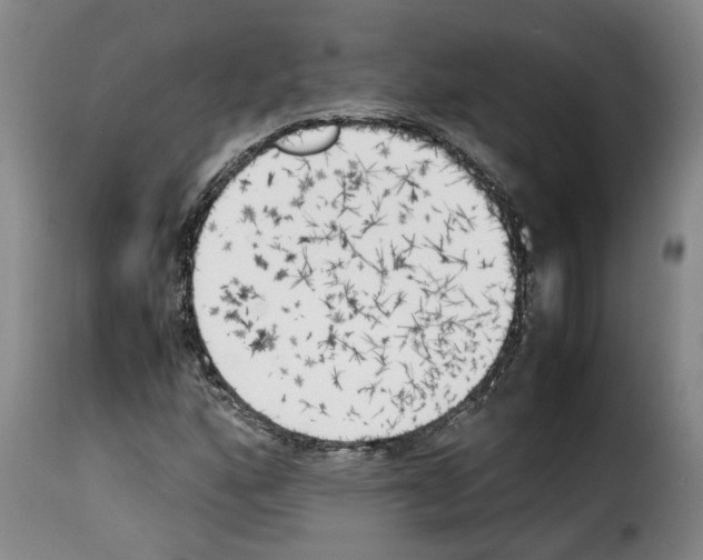 X0000114231160200911201103