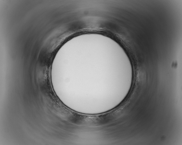 X0000114231161200911201103
