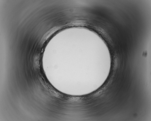 X0000114231162200911201103