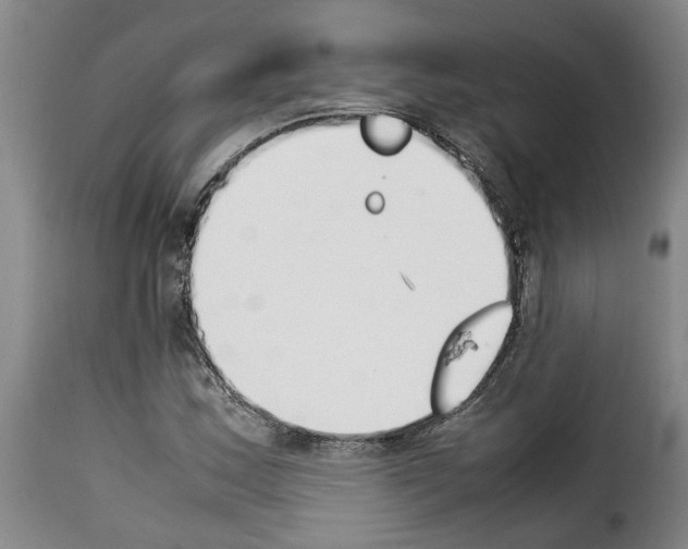 X0000114231163200911201103
