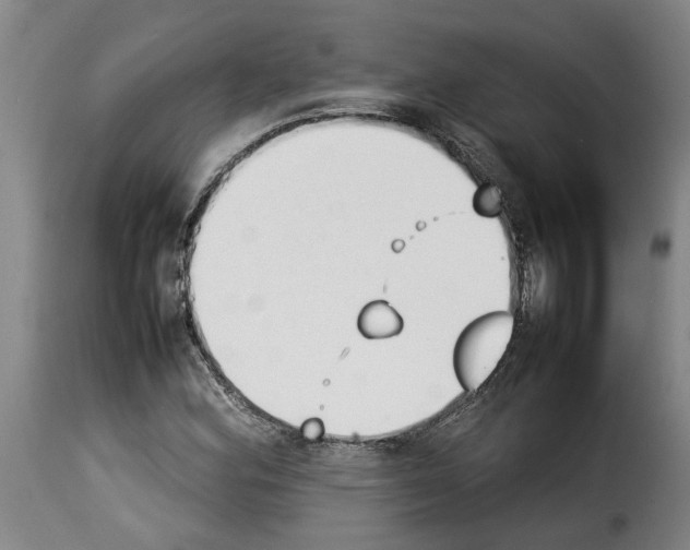 X0000114231164200911201103