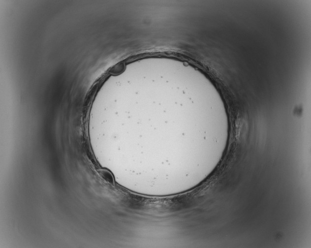 X0000114231165200911201103