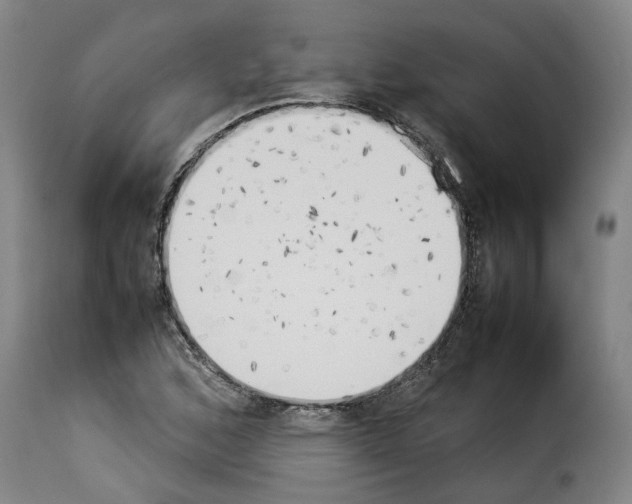 X0000114231168200911201103