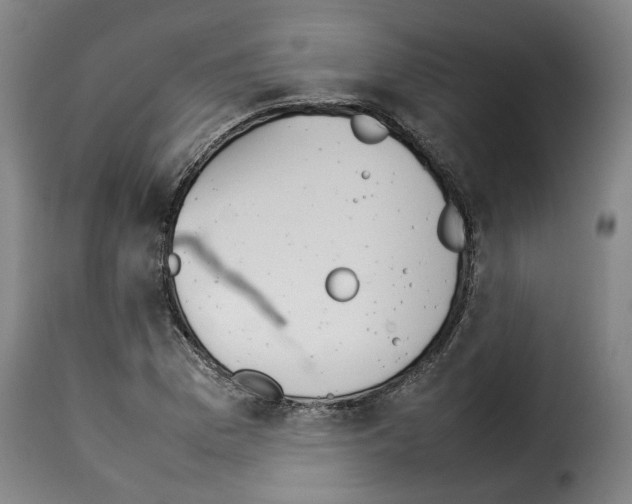 X0000114231169200911201103