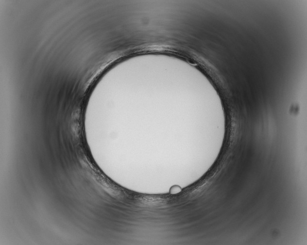 X0000114231170200911201103