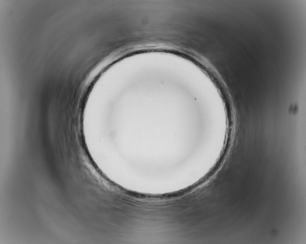 X0000114231173200911201103