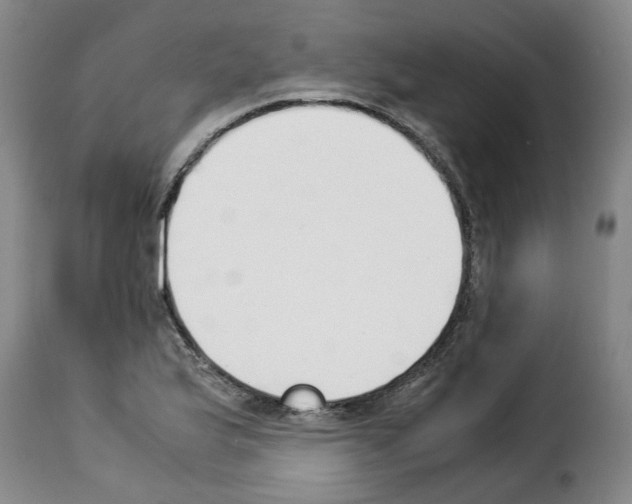 X0000114231175200911201103