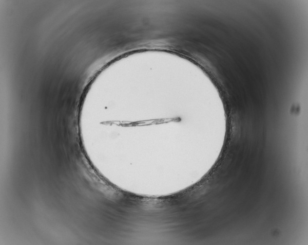 X0000114231176200911201103