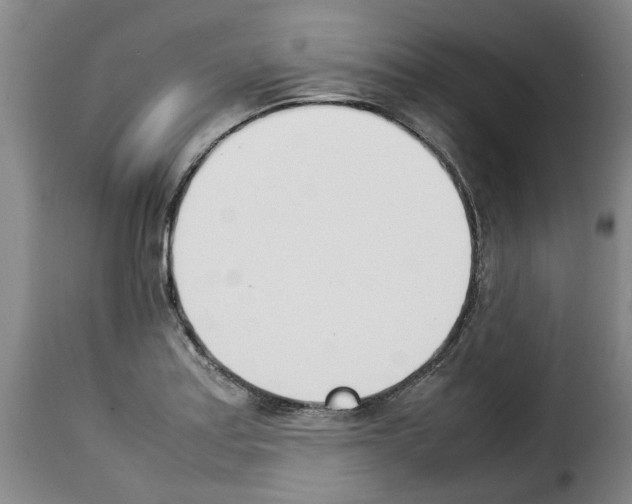 X0000114231179200911201103
