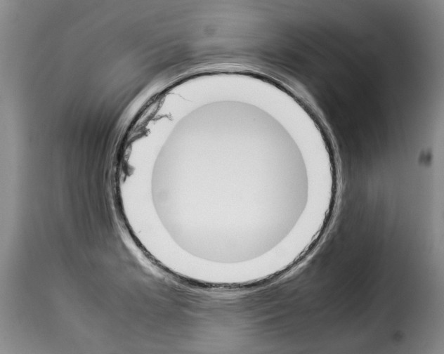 X0000114231181200911201103