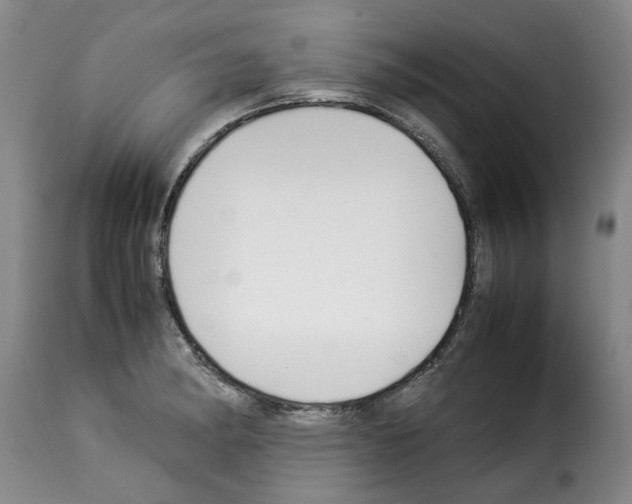 X0000114231182200911201103
