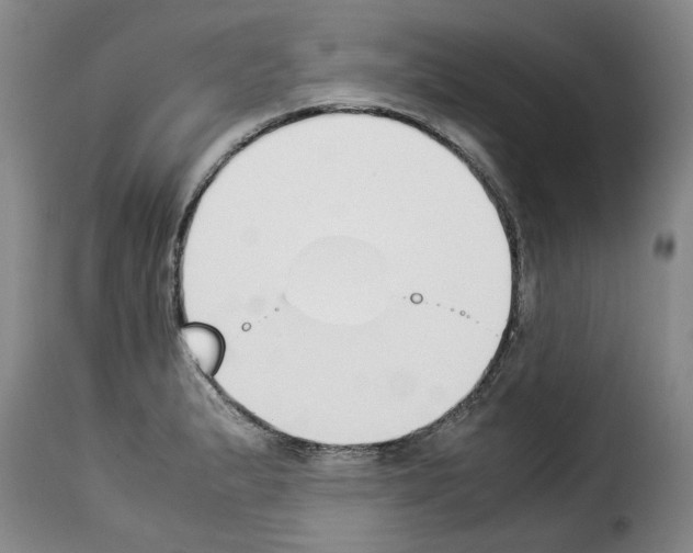 X0000114231183200911201103