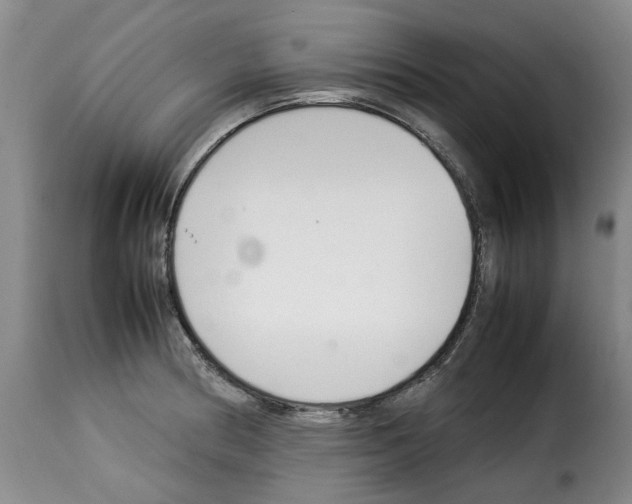X0000114231186200911201103