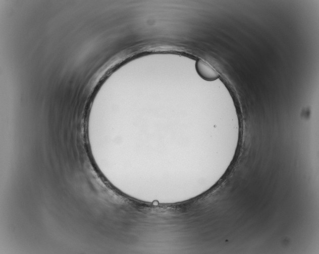 X0000114231189200911201103