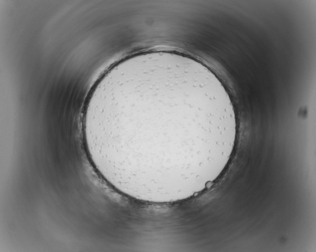 X0000114231190200911201103