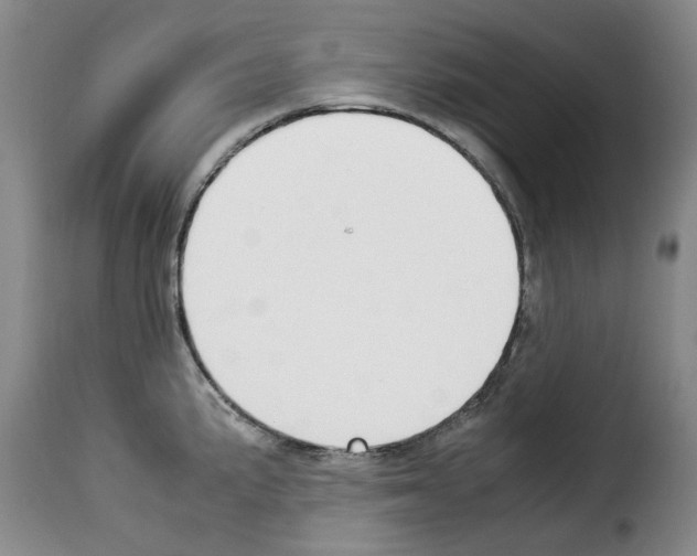 X0000114231191200911201103