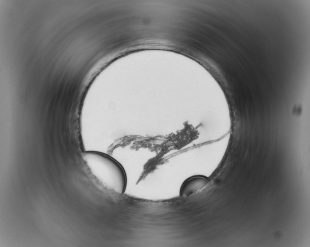X0000114231192200911201103