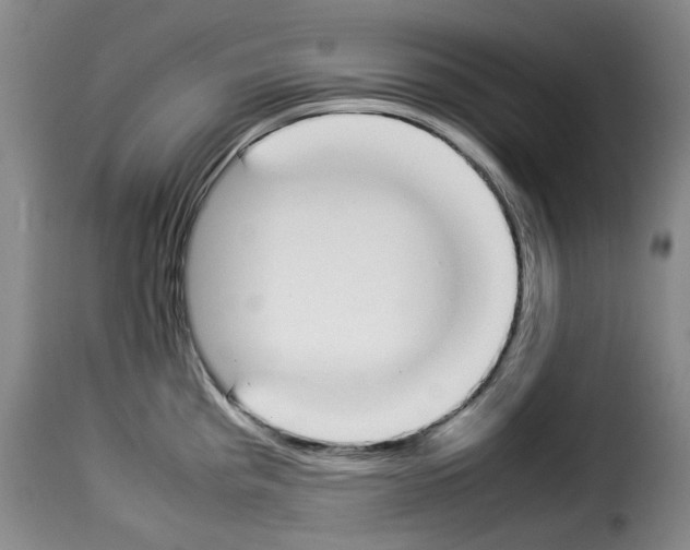 X0000114231193200911201103