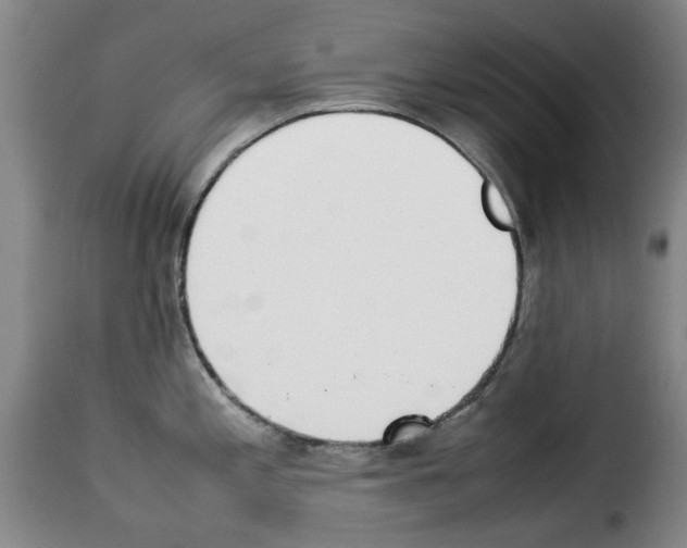 X0000114231197200911201102
