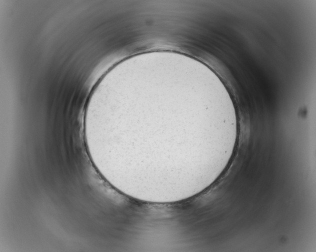 X0000114231198200911201102