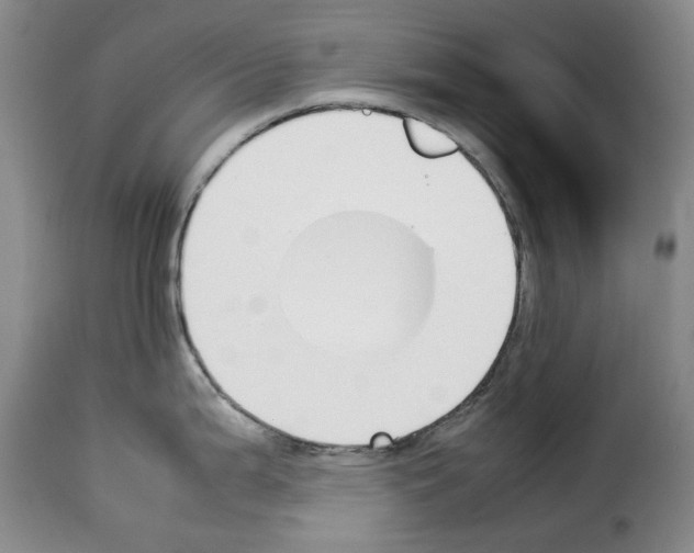 X0000114231199200911201102
