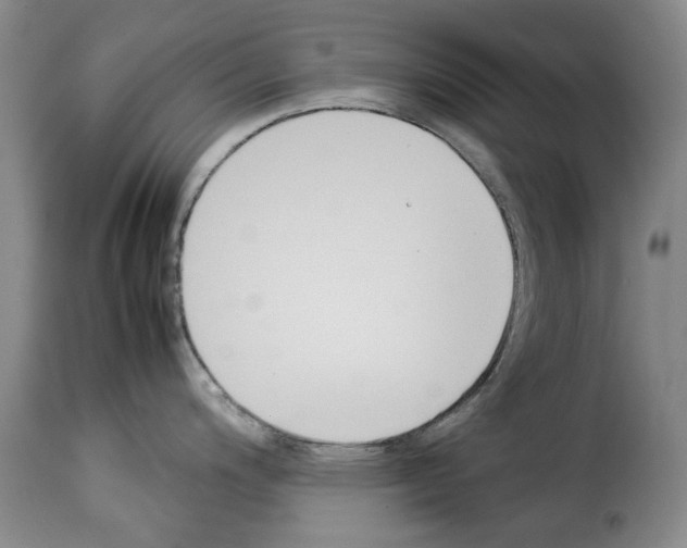X0000114231200200911201102