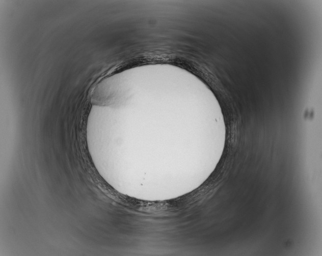 X0000114231201200911201102