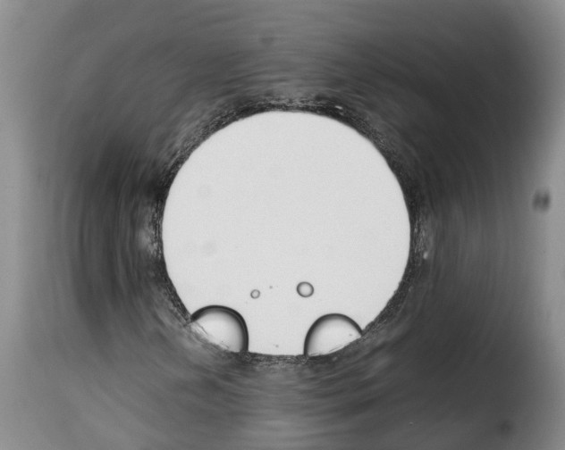 X0000114231202200911201102
