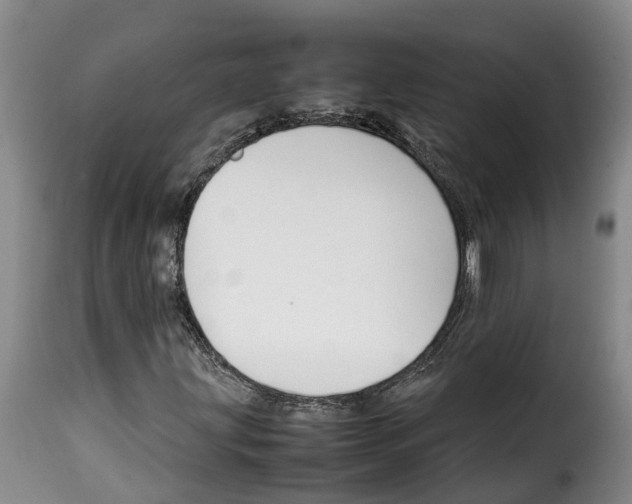 X0000114231203200911201102