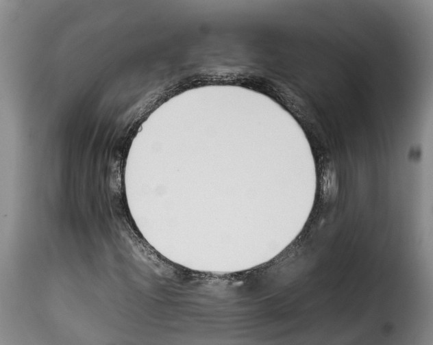 X0000114231204200911201102