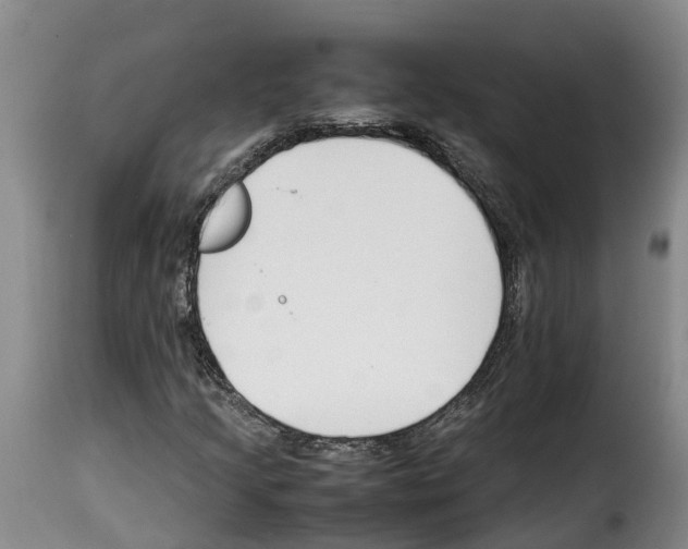 X0000114231205200911201102