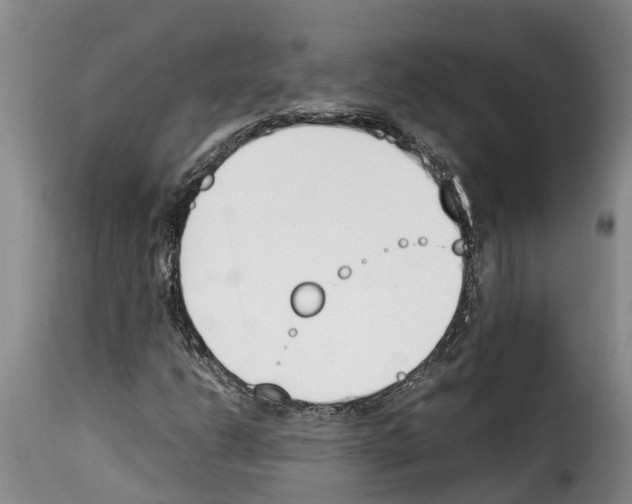 X0000114231206200911201102