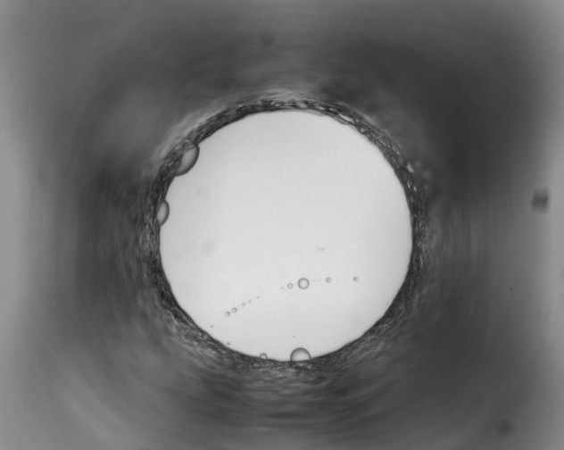 X0000114231207200911201102