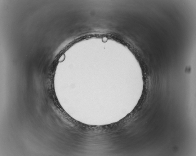 X0000114231208200911201102