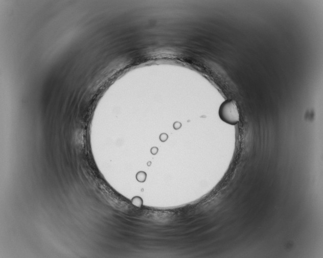X0000114231209200911201102