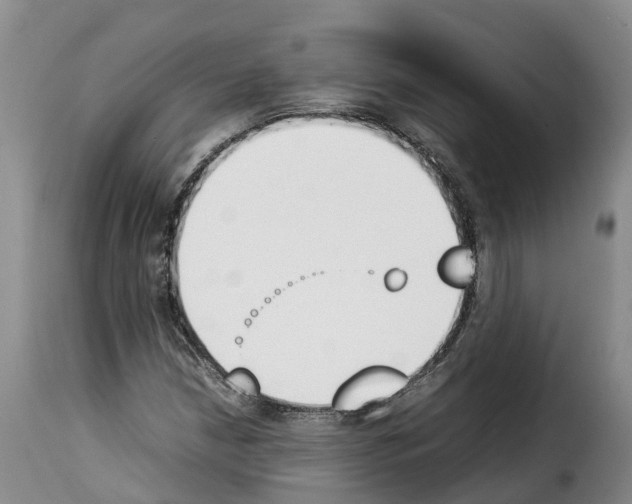 X0000114231210200911201102
