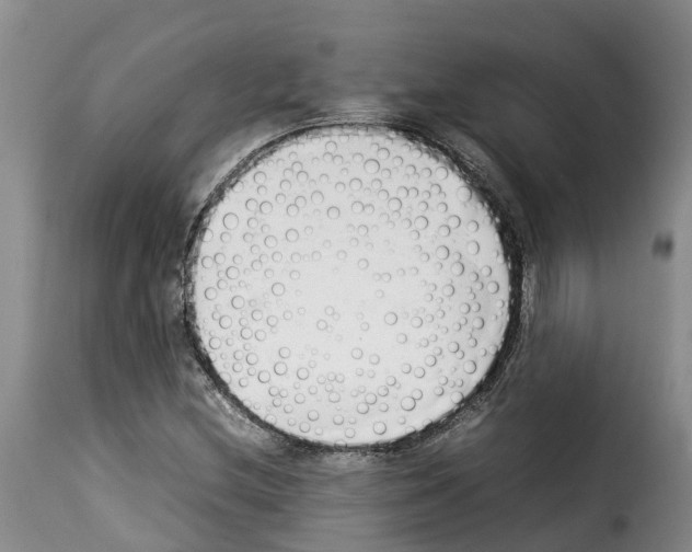 X0000114231212200911201102