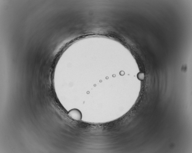 X0000114231214200911201102