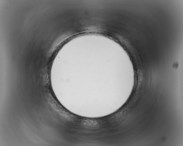 X0000114231215200911201102