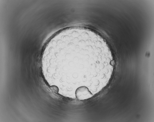 X0000114231216200911201102