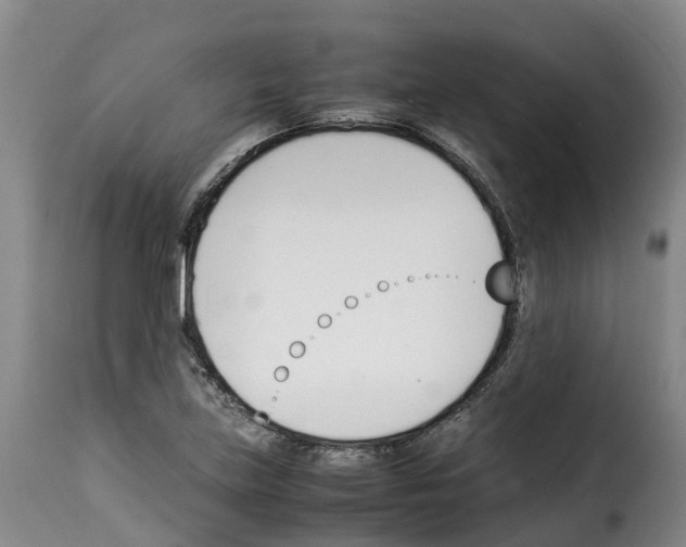 X0000114231219200911201102