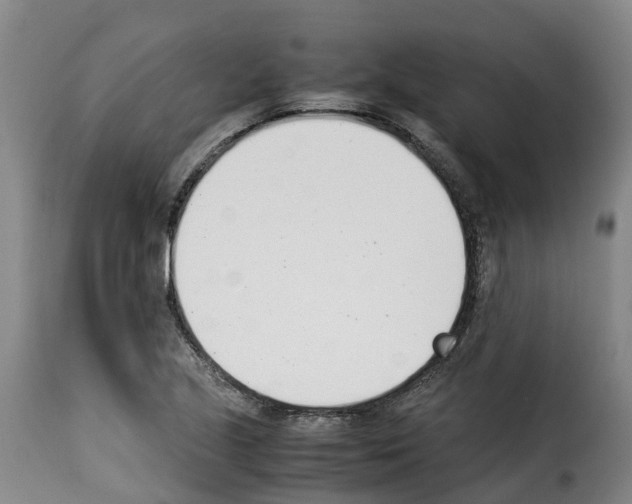X0000114231221200911201102