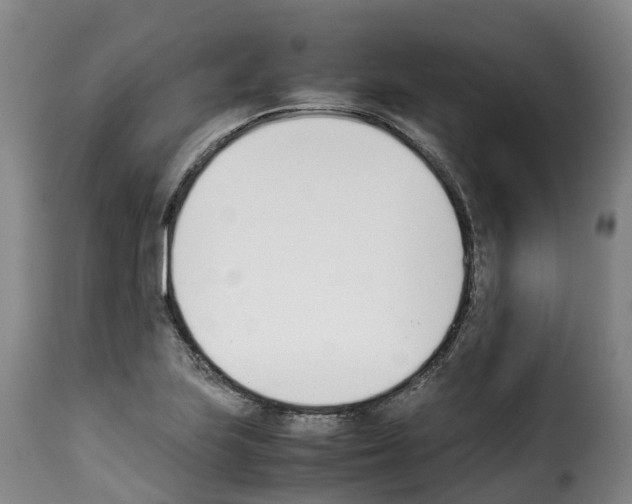 X0000114231223200911201102