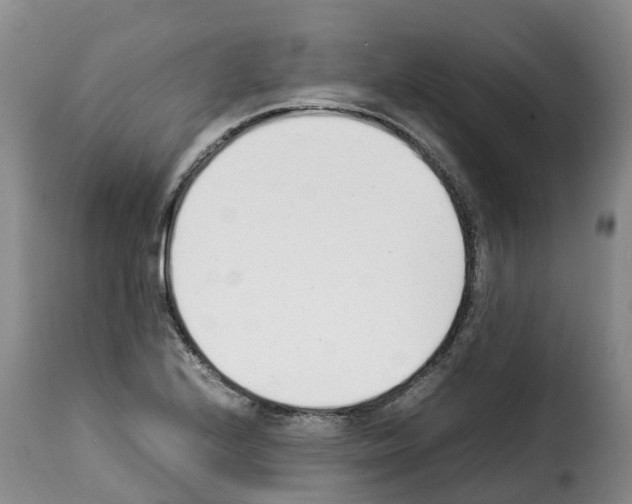 X0000114231224200911201102