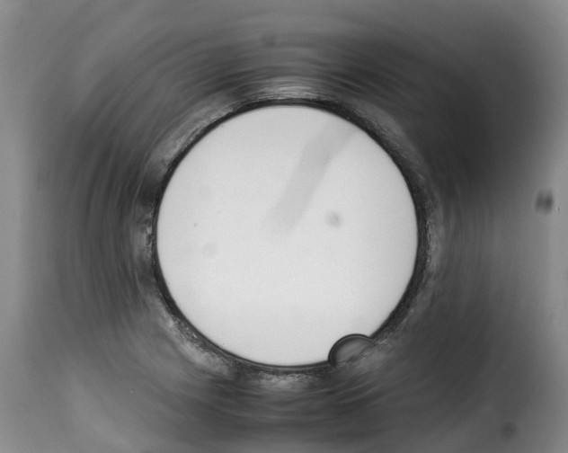 X0000114231225200911201102