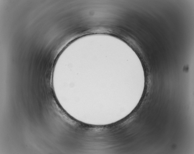 X0000114231228200911201102