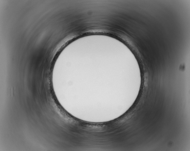 X0000114231229200911201102
