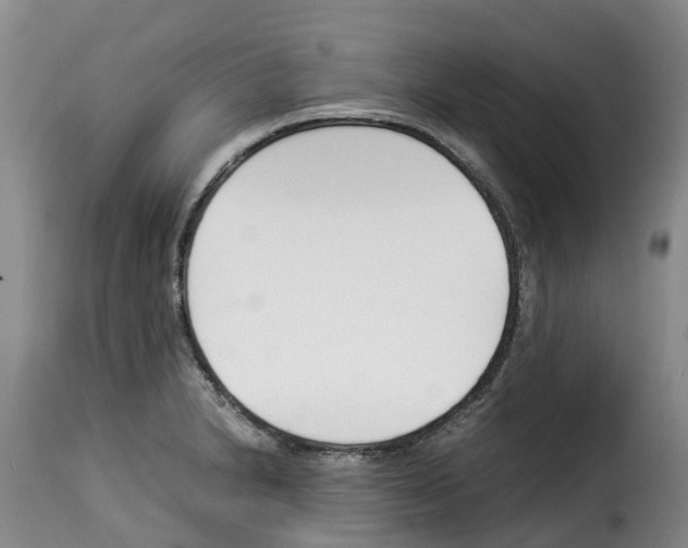 X0000114231230200911201102