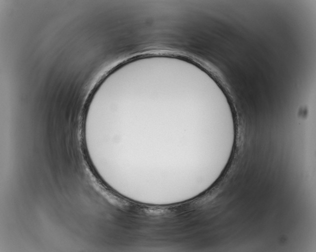 X0000114231231200911201102
