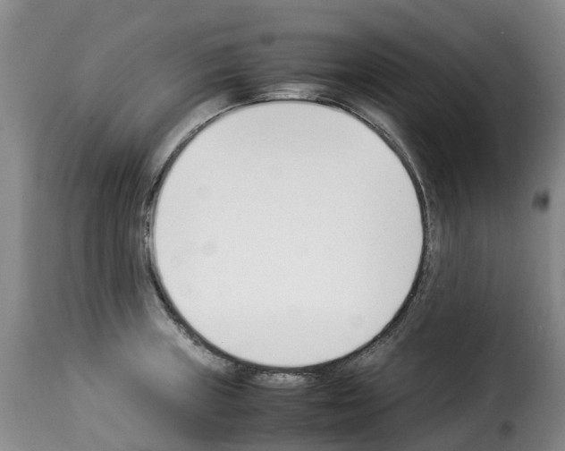 X0000114231235200911201102
